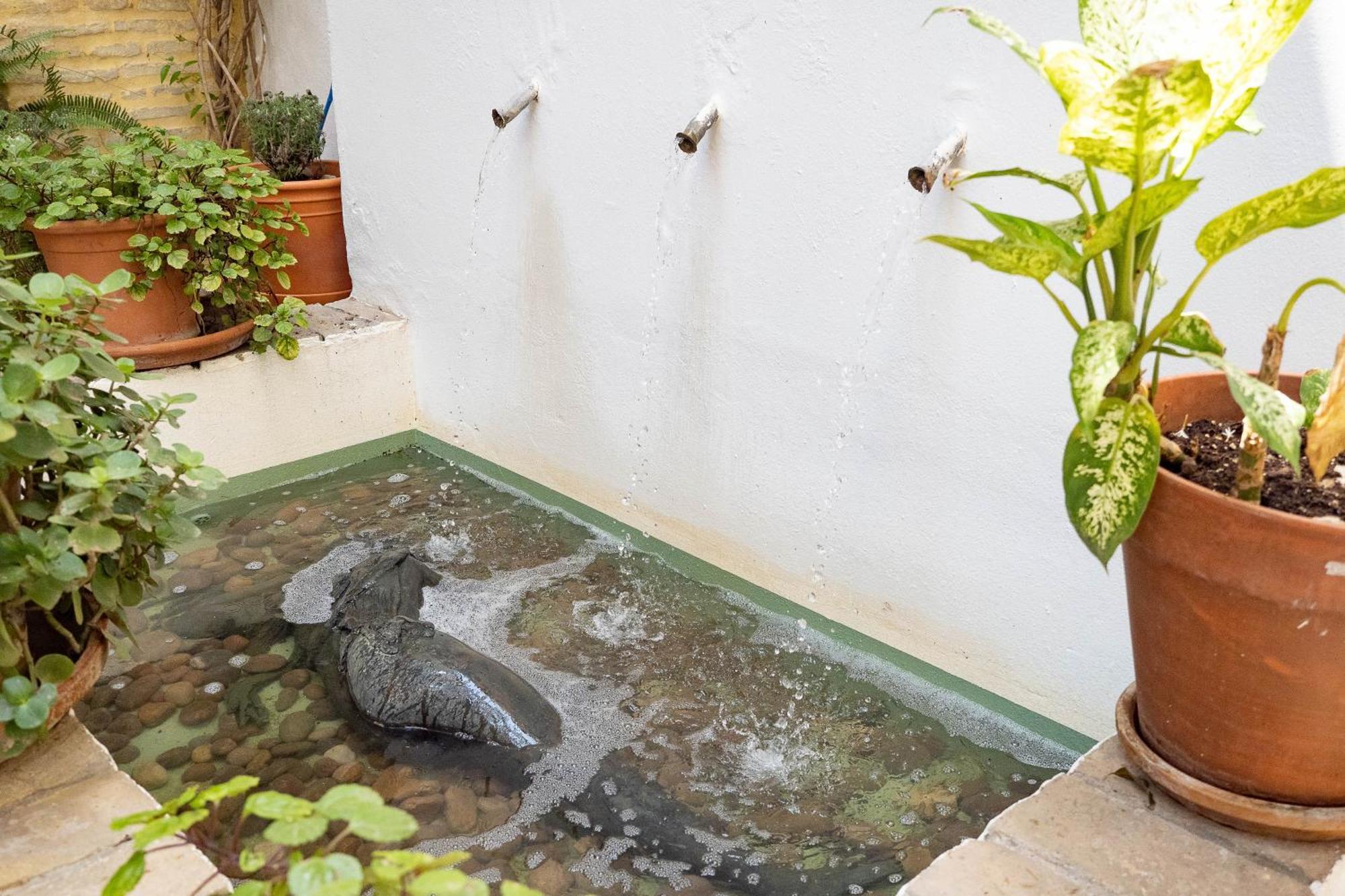 Bed and Breakfast La Casa 1832 Boutique Sanlúcar de Barrameda Zewnętrze zdjęcie